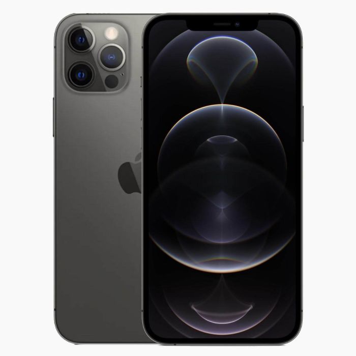 iPhone 12 Pro Max